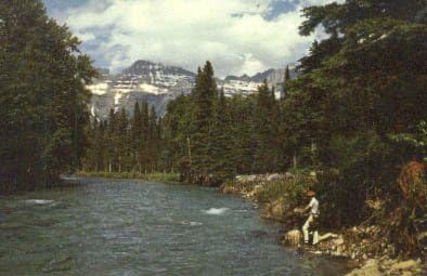 Национален парк Глечер, разгледница во Ајдахо