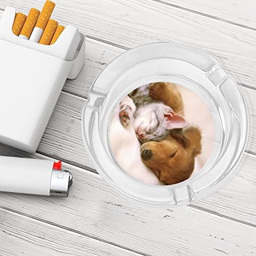Симпатична милениче мачка кучешки чаша од пепел за цигари со ленти за пепел за домашна канцеларија и ресторани