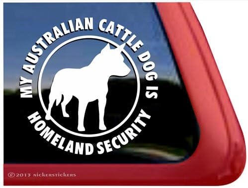 Домашна безбедност - Налепница за винил прозорец за кучиња од австралиско добиток