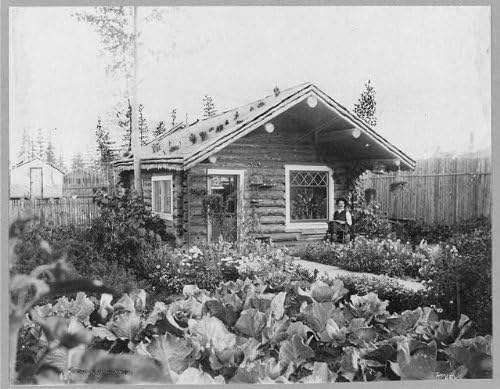 Фотографија на историски производи: Дом на Sourdough, Fairbanks, Alaska, AK, Log Cabin, Garden, 1916, САД