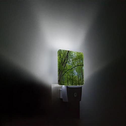 Ноќна светлина за деца, класична тропска шума зелени дрвја природна глетка предводена ноќна светлина во wallидот со светло сензори