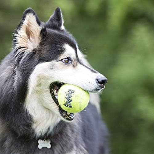 Топки од Конг Пикекаир, Премиум за играчки за кучиња Премиум тениски топки за средни кучиња, пакет од 6