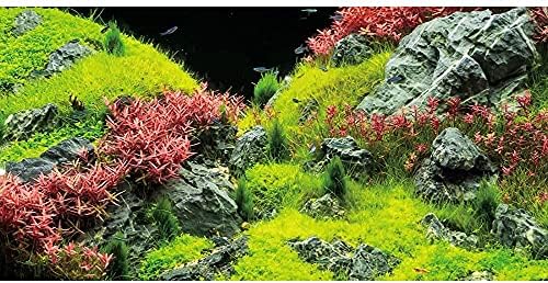 AWERT 24x12 инчи винил камен водни растенија резервоар за риби во позадина Речен кревет и езеро Аквариум Позадина